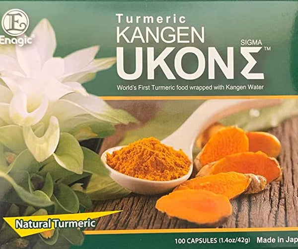 Ukon Turmeric Supplements (single) – Daroora India